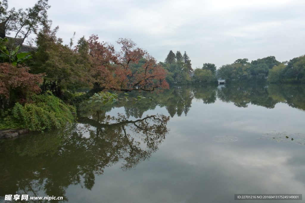 西湖风景