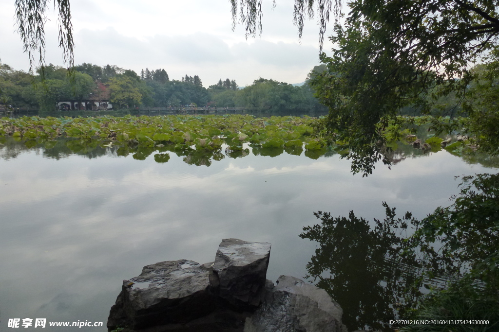 西湖风景