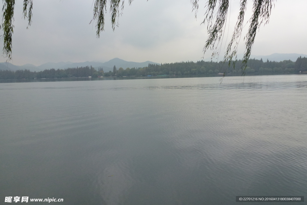 西湖风景