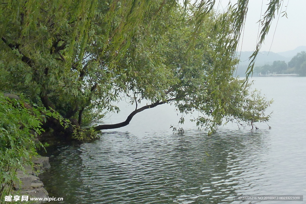 西湖风景