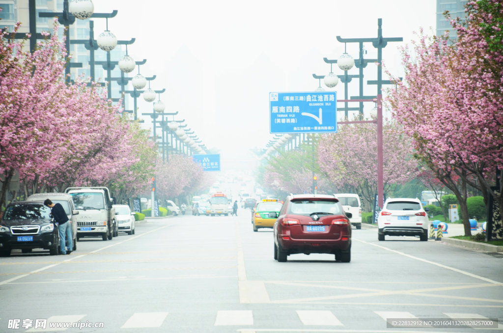 西安曲江池西路