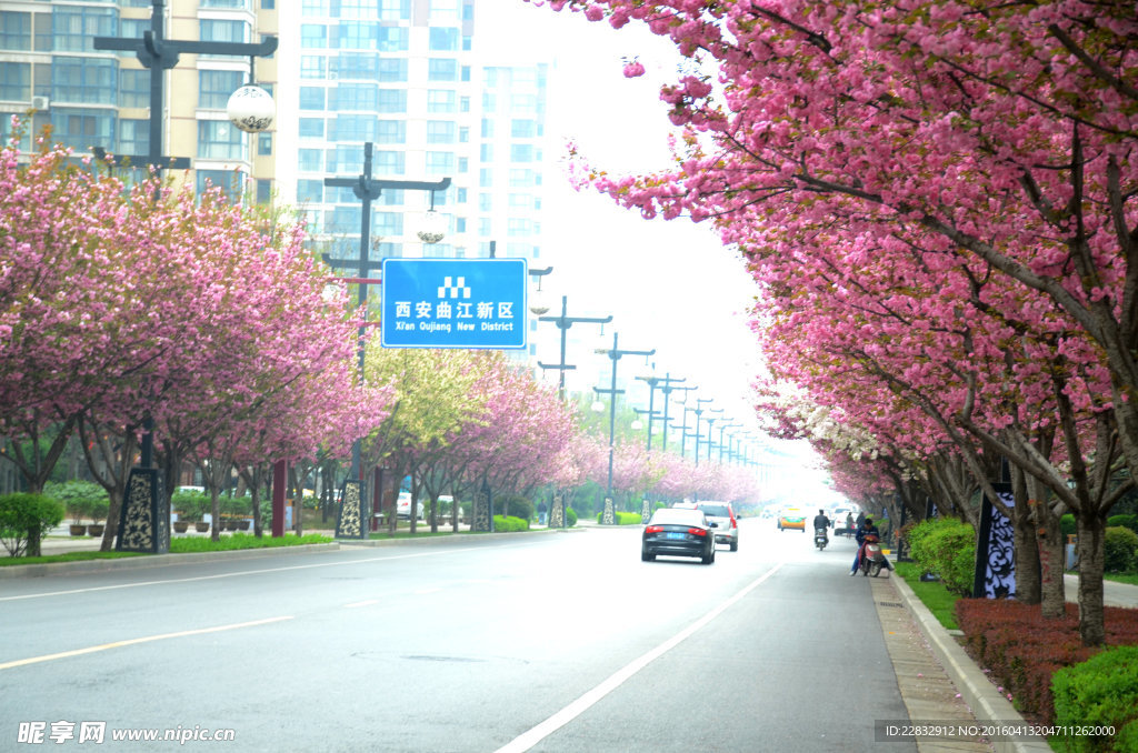 西安曲江池西路