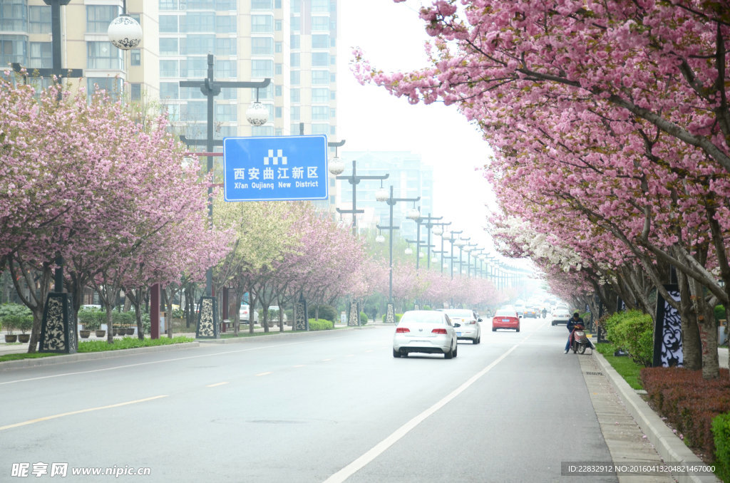 西安曲江池西路