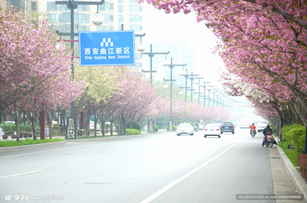 西安曲江池西路