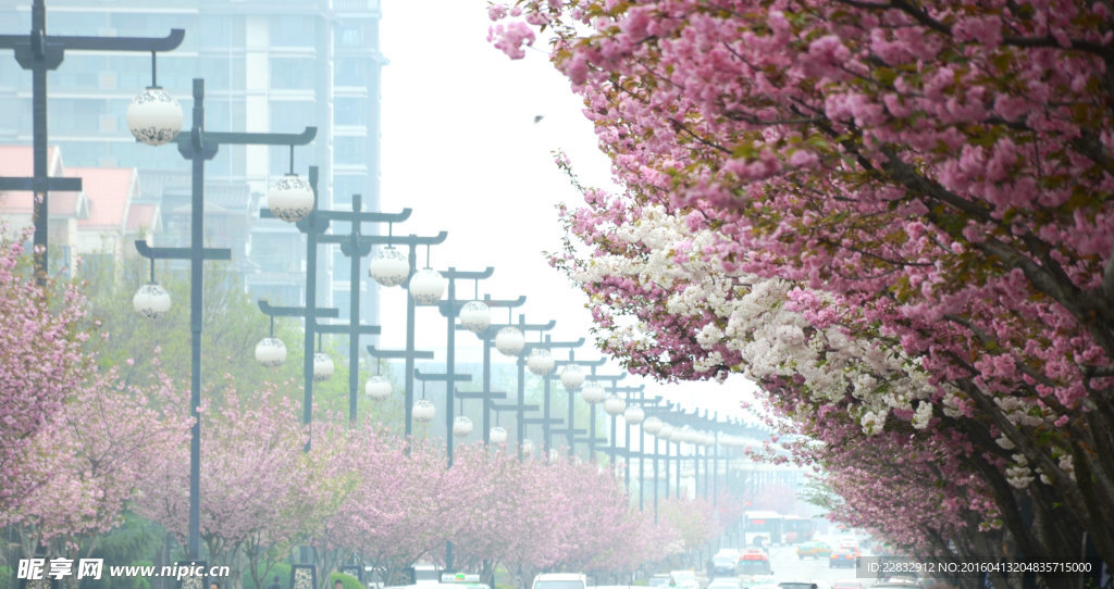 西安曲江池西路