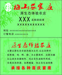 绿色名片