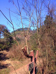 烂柯山风景名胜