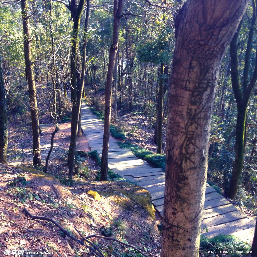 烂柯山景区