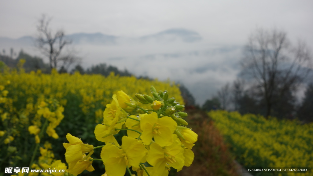 婺源
