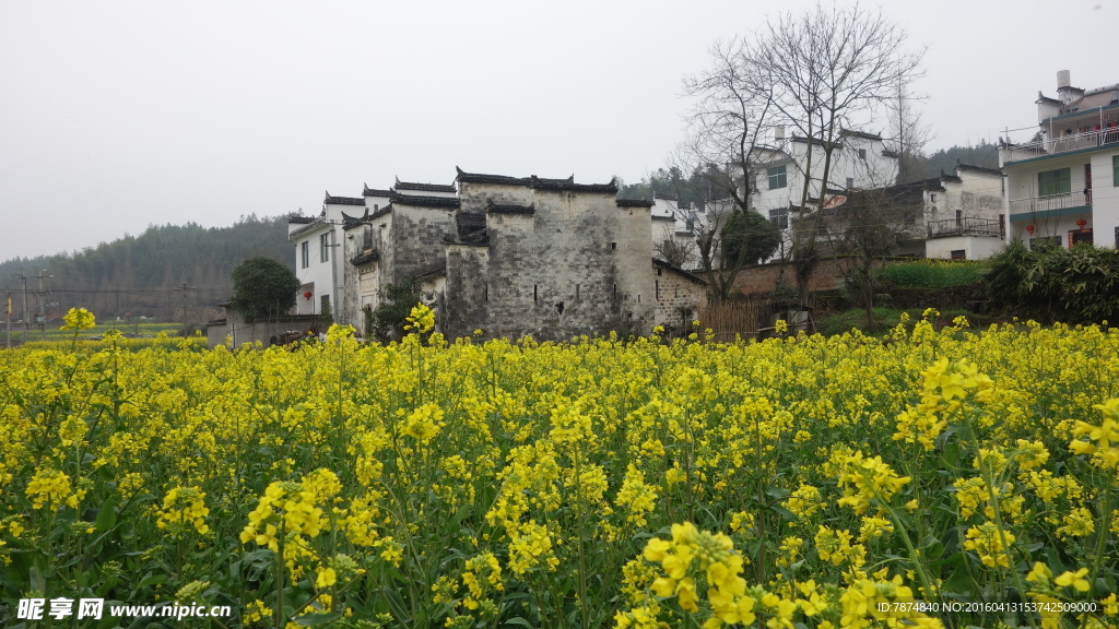 婺源