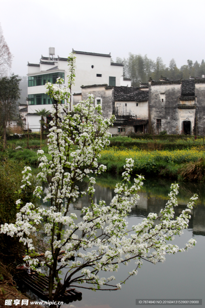 婺源