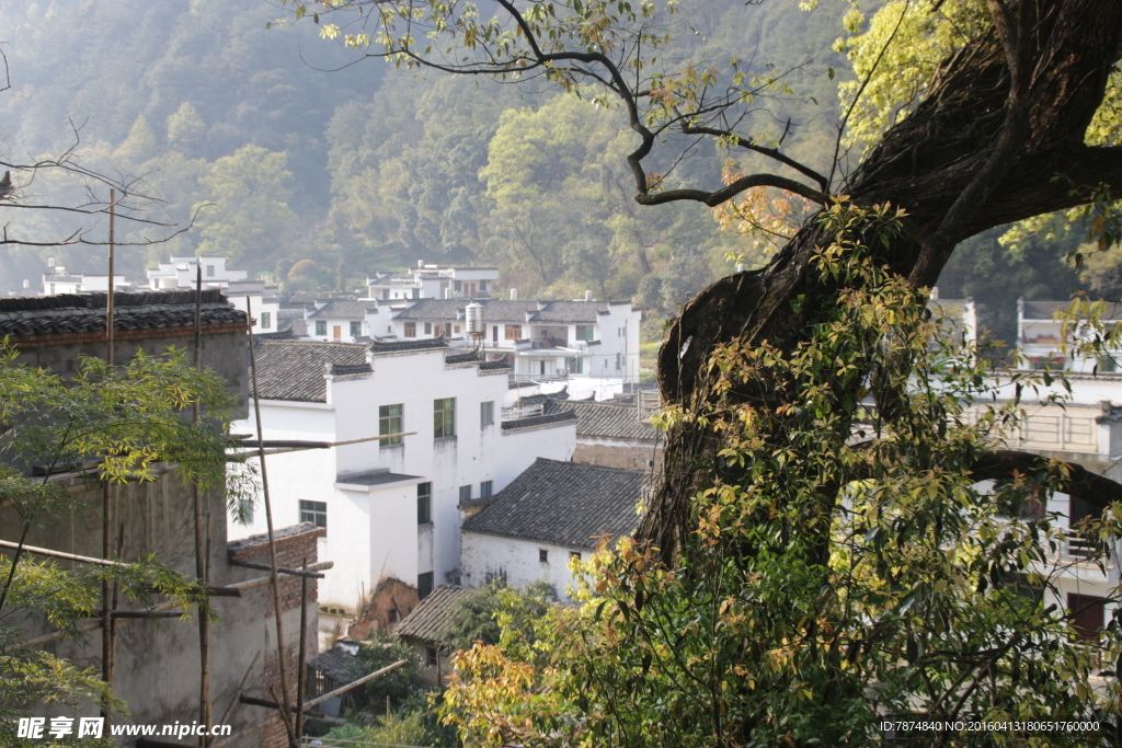 婺源