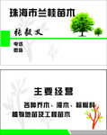 树苗名片