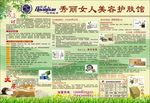 养生宣传单