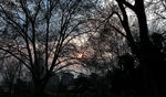 夕阳