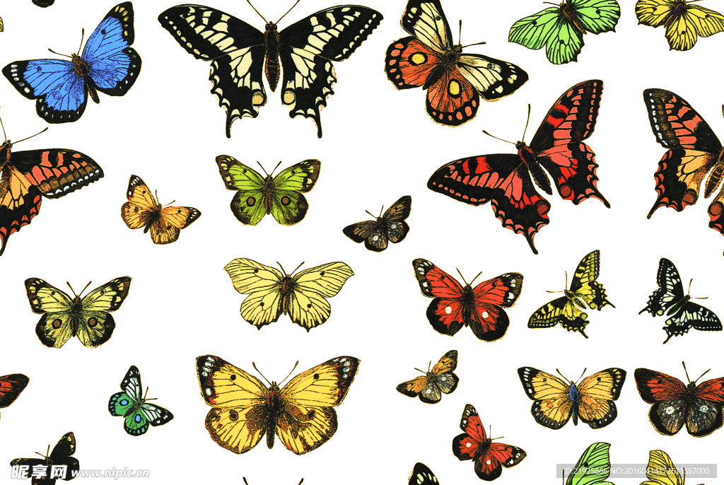 数码印花多彩蝴蝶图案
