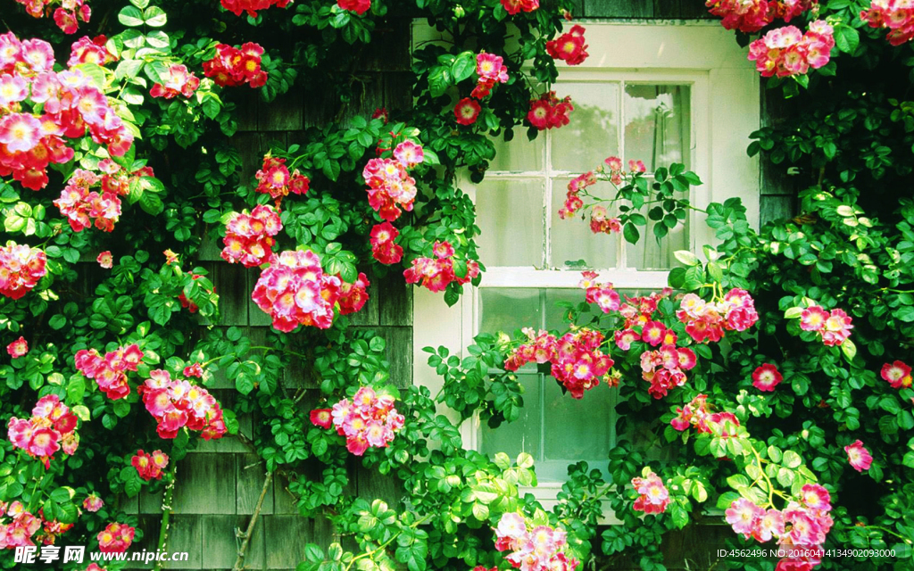 鲜花