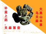 药草画框
