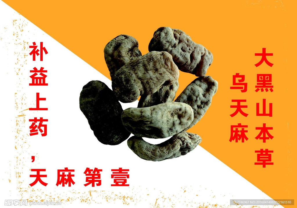 药草画框
