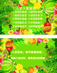 西瓜名片