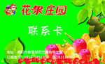 花果名片