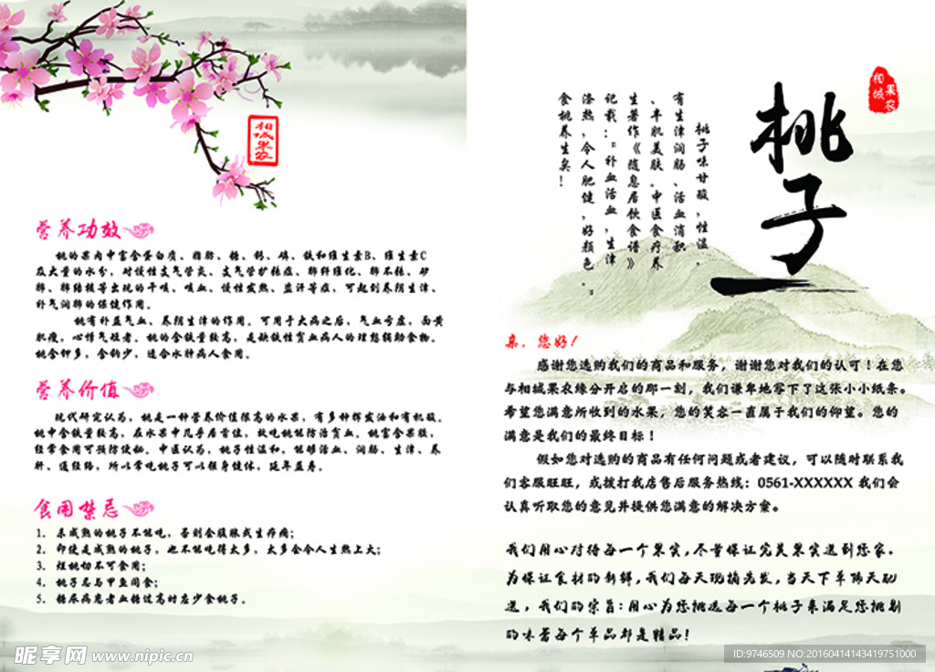 桃子单页 A5宣传单