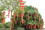 灯笼