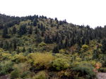 川西