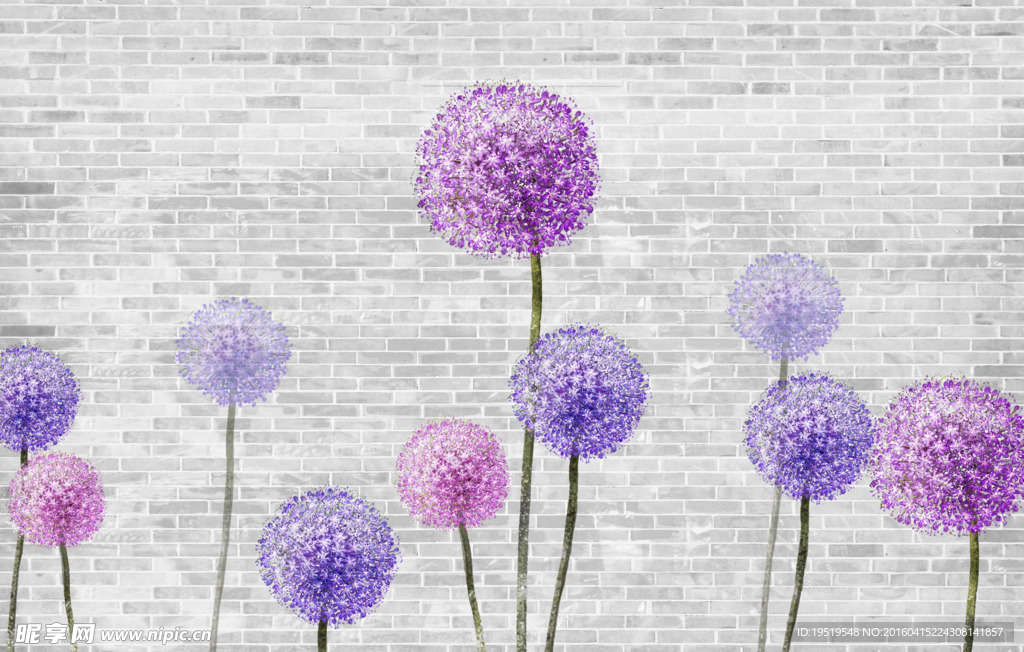 砖墙背景蒲公英