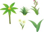 椰子树 花草