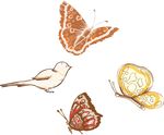 蝴蝶 小鸟 欧式