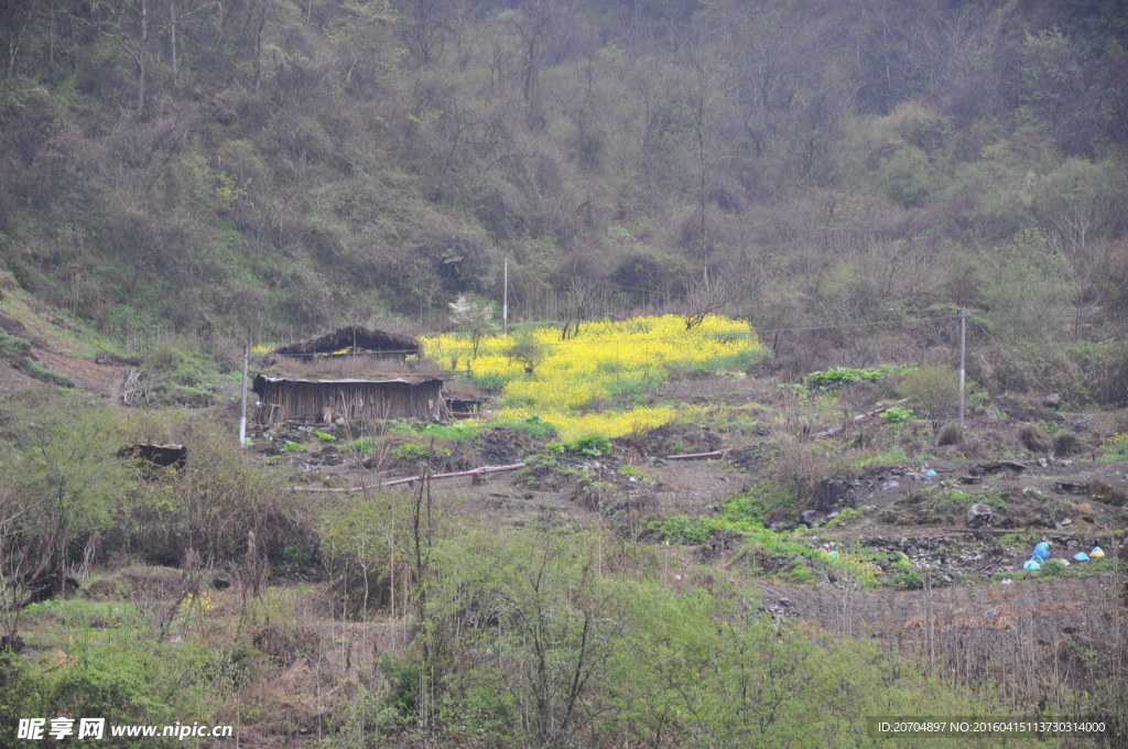 东拉山大峡谷