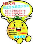 安逸成都菠萝异形