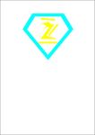 z标志