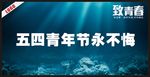 五四青年节永不悔
