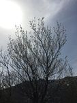慕云山