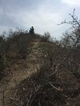 慕云山