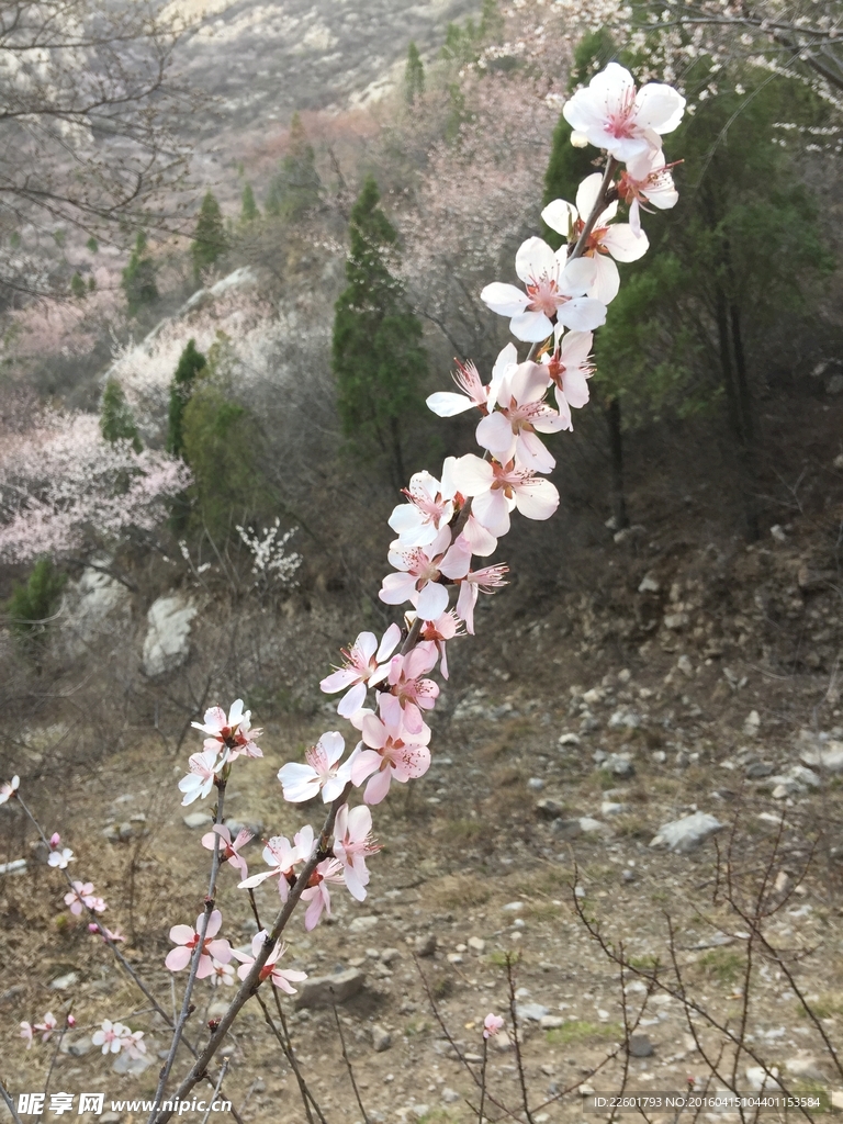 慕云山