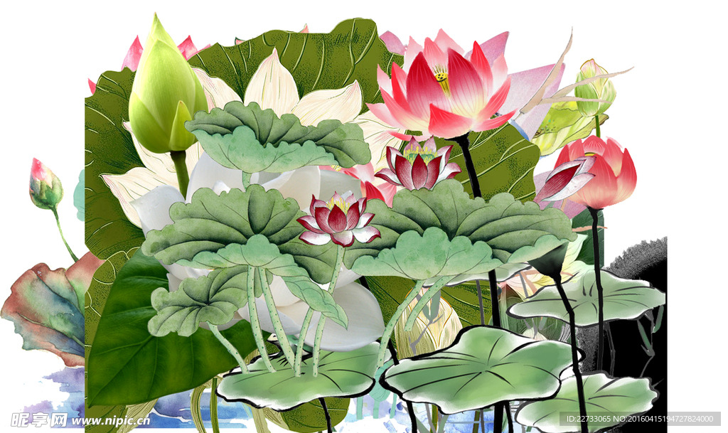 工笔画莲花PSD分层素材