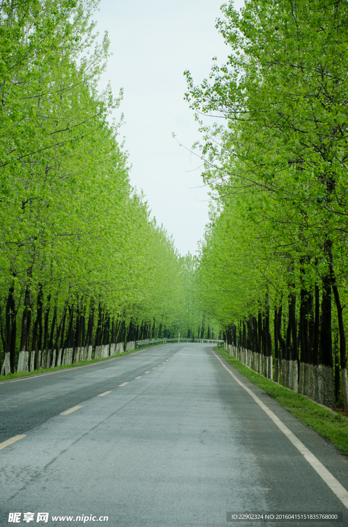 乡村公路