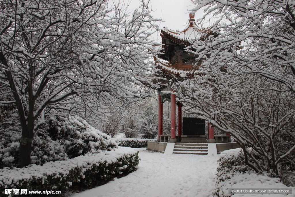 雪景