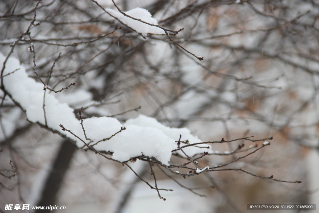雪