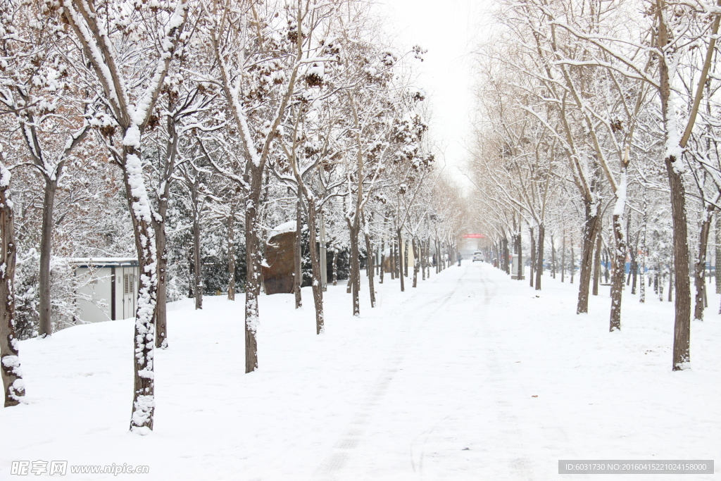 雪