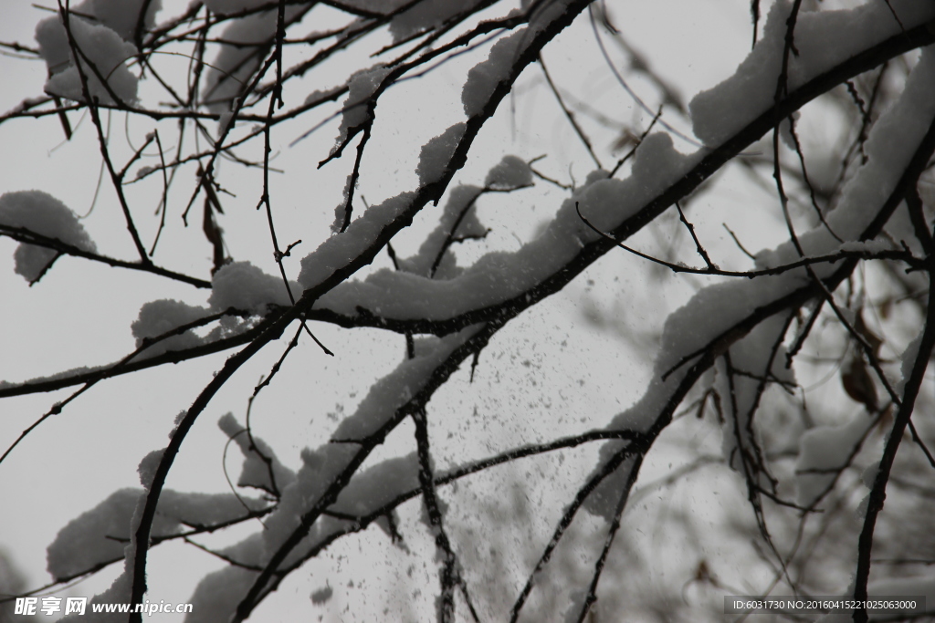 雪