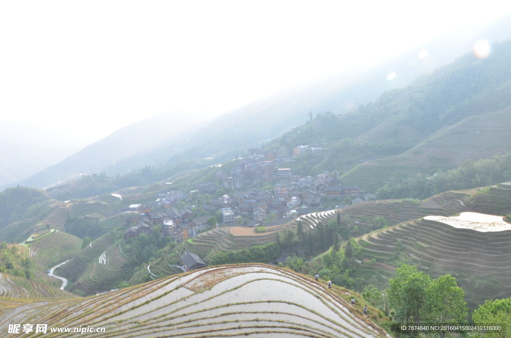 梯田