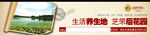 房地产