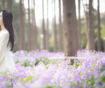 春天花丛是的美女