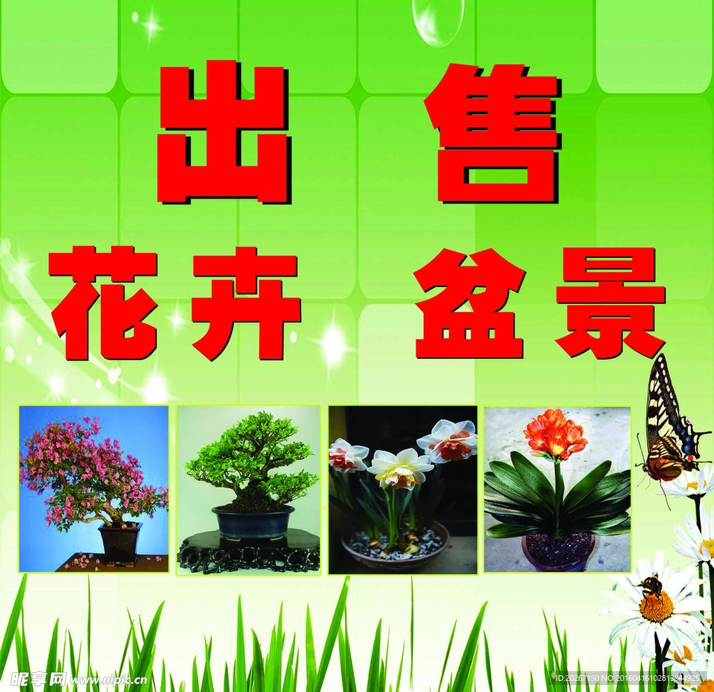 花卉盆景