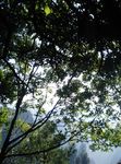 武陵源风景区
