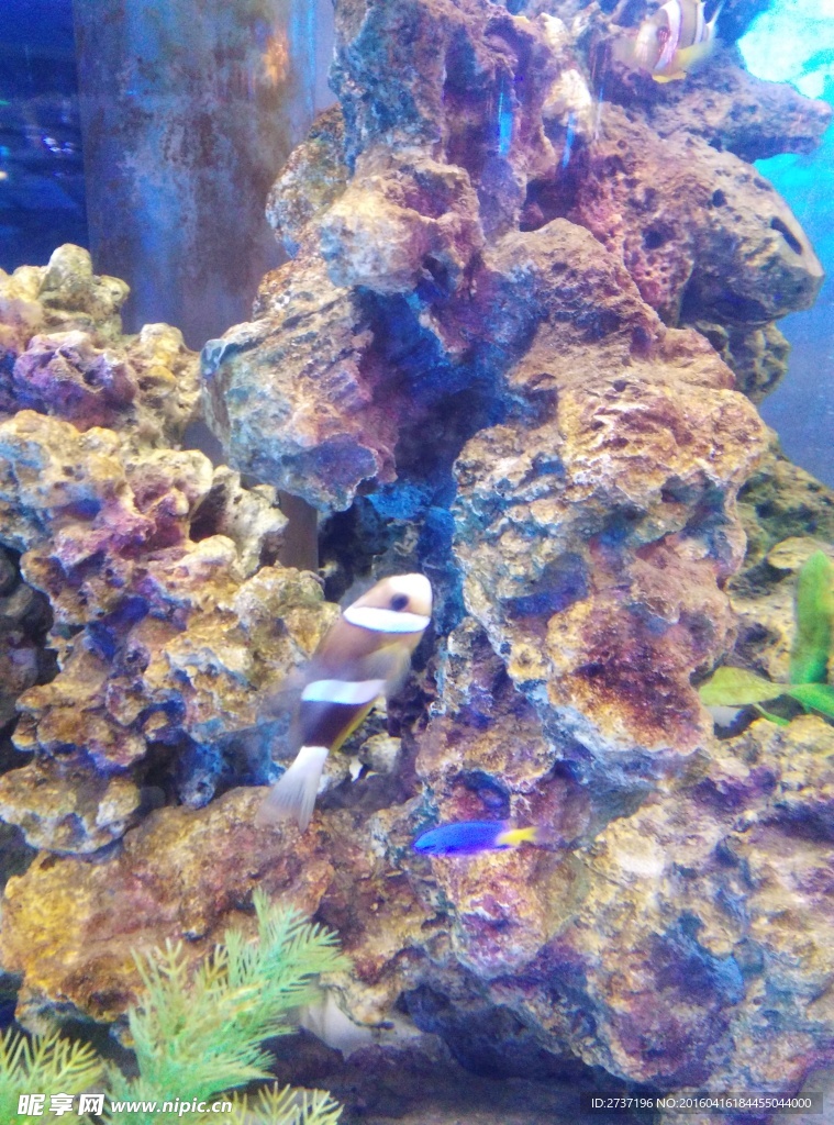 海底世界